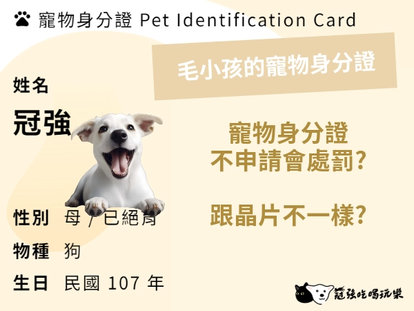 寵物身分證是什麼？貓咪的寵物登記成為強制性要求？ 3 步驟快速製作寵物身分證
