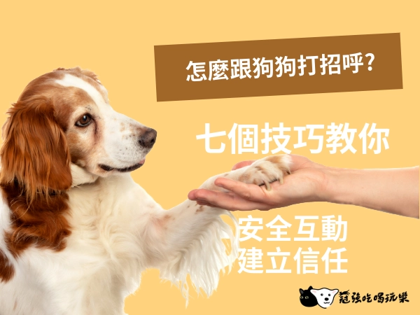 怎麼跟狗狗打招呼？7 個技巧教你安全互動與建立信任！