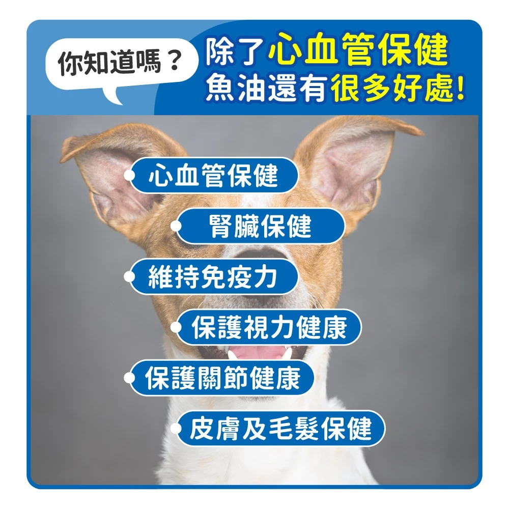 【毛孩時代】犬貓適用寵物魚油
