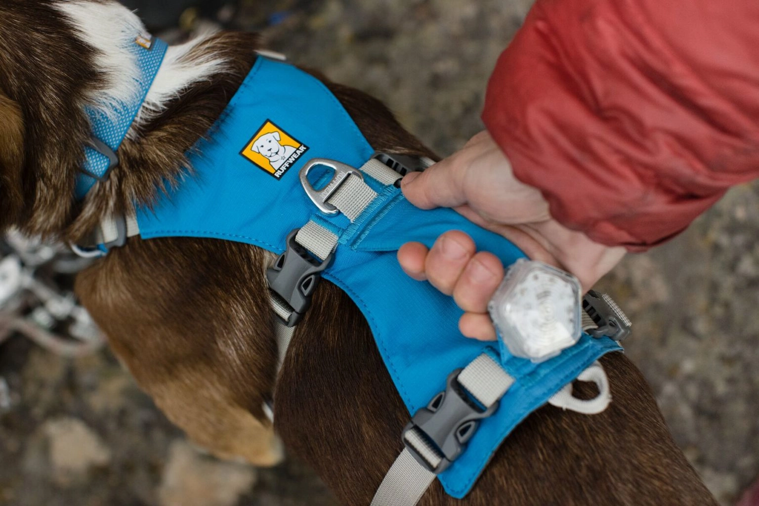 【Ruffwear】Flagline 輕量三線胸背帶