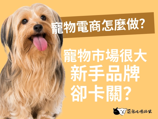 寵物市場很大，卻讓新手品牌卡關？寵物電商怎麼做？慢慢建立寵物電商品牌