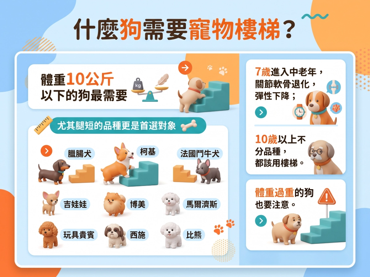 什麼狗需要寵物樓梯