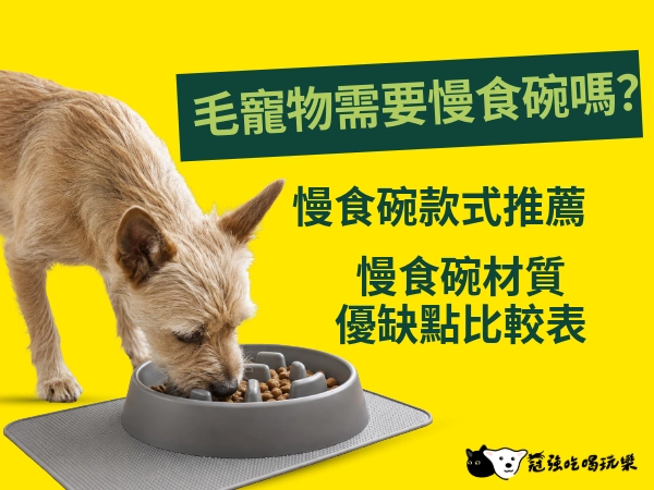 你家的毛寵物需要慢食碗