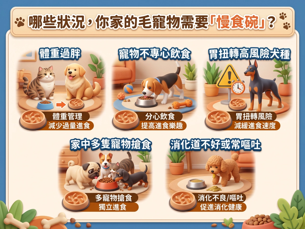 哪些狀況，你家的毛寵物需要慢食碗
