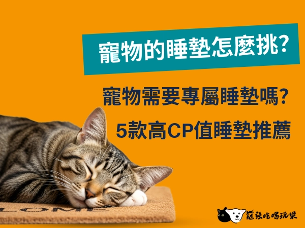 寵物的睡墊怎麼挑