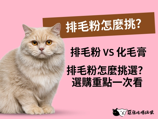 排毛粉怎麼挑