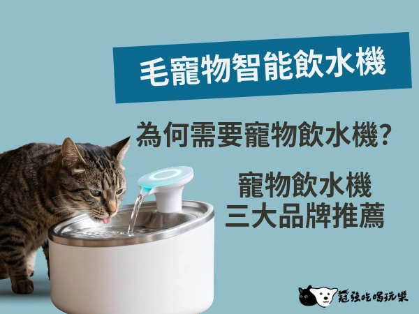 為什麼毛寵物需要智能飲水機
