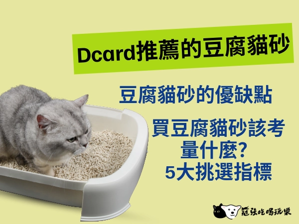 為何貓飼主們推薦豆腐貓砂