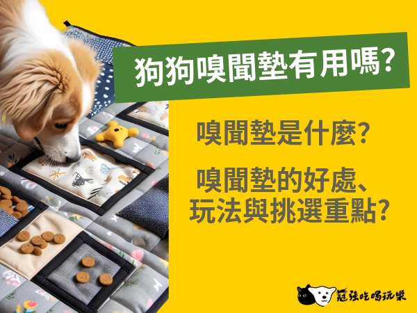 狗狗嗅聞墊有用嗎？一次了解嗅聞墊的好處、玩法與挑選重點