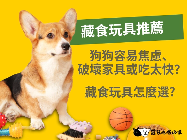 藏食玩具推薦