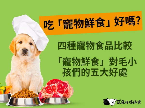 該讓自家毛寵物吃「鮮食」嗎