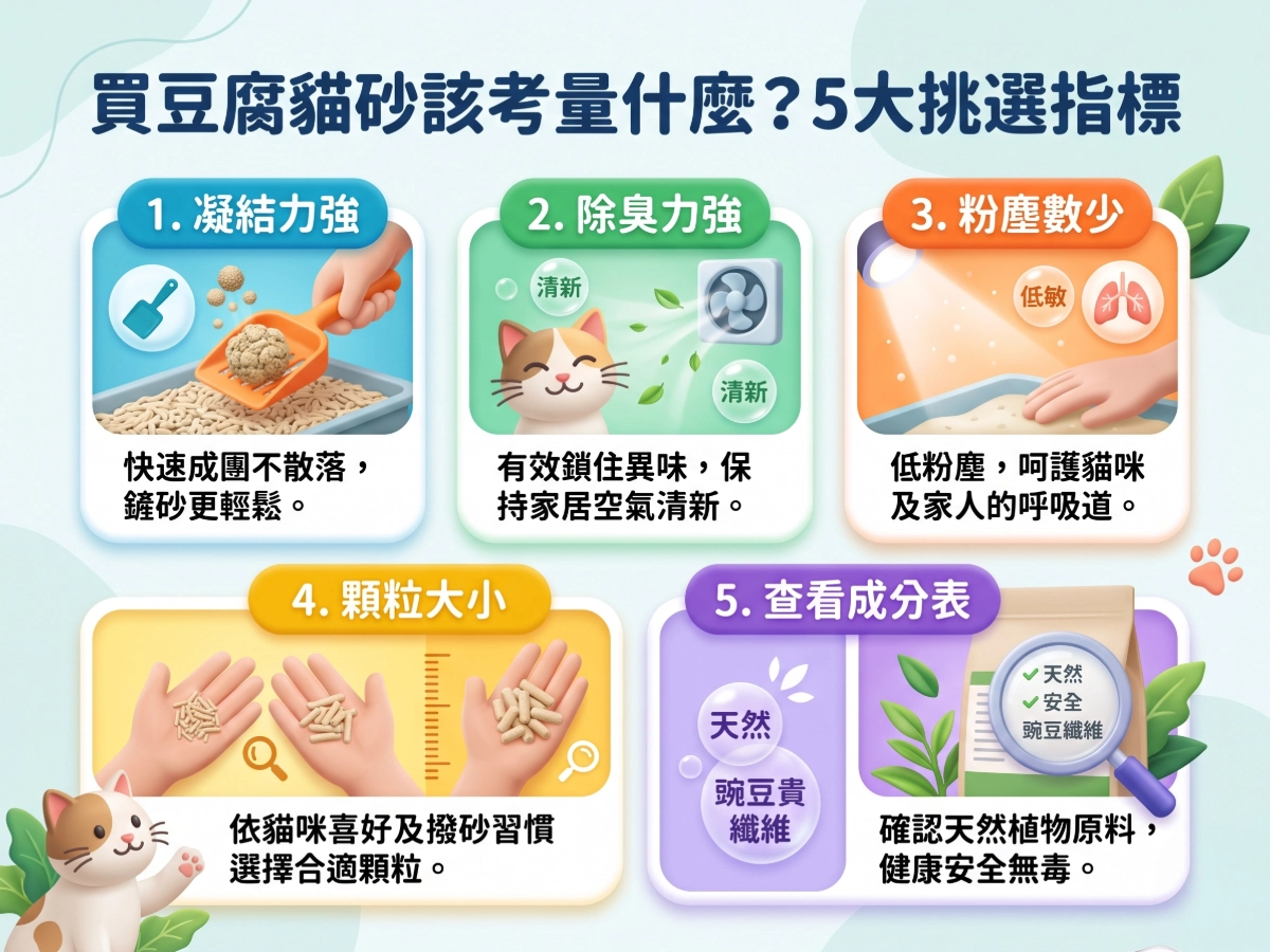 買豆腐貓砂該考量什麼？5大挑選指標