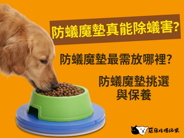 防蟻魔墊真的能解決蟻害嗎