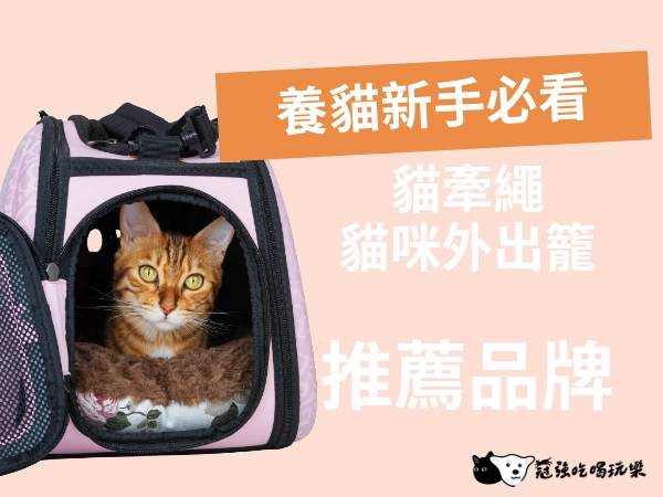 養貓新手必看｜貓牽繩與外出籠推薦！