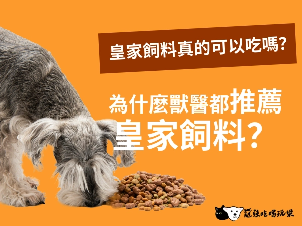 皇家飼料真的可以吃嗎？為什麼獸醫都推薦皇家？