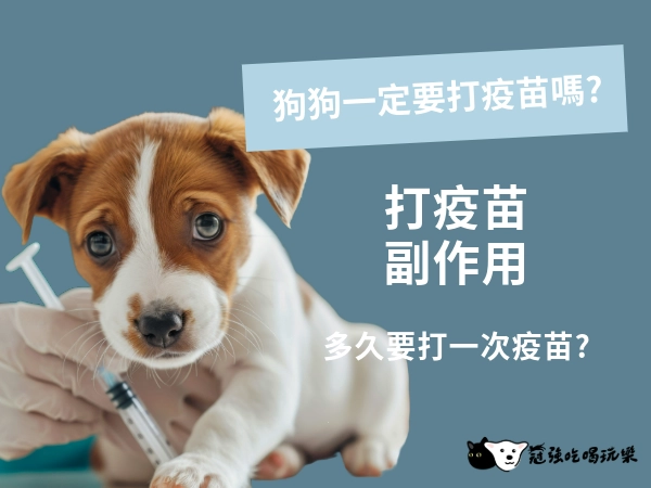 這篇建議收藏起來！狗狗疫苗一生攻略，疫苗種類、價格與施打時間